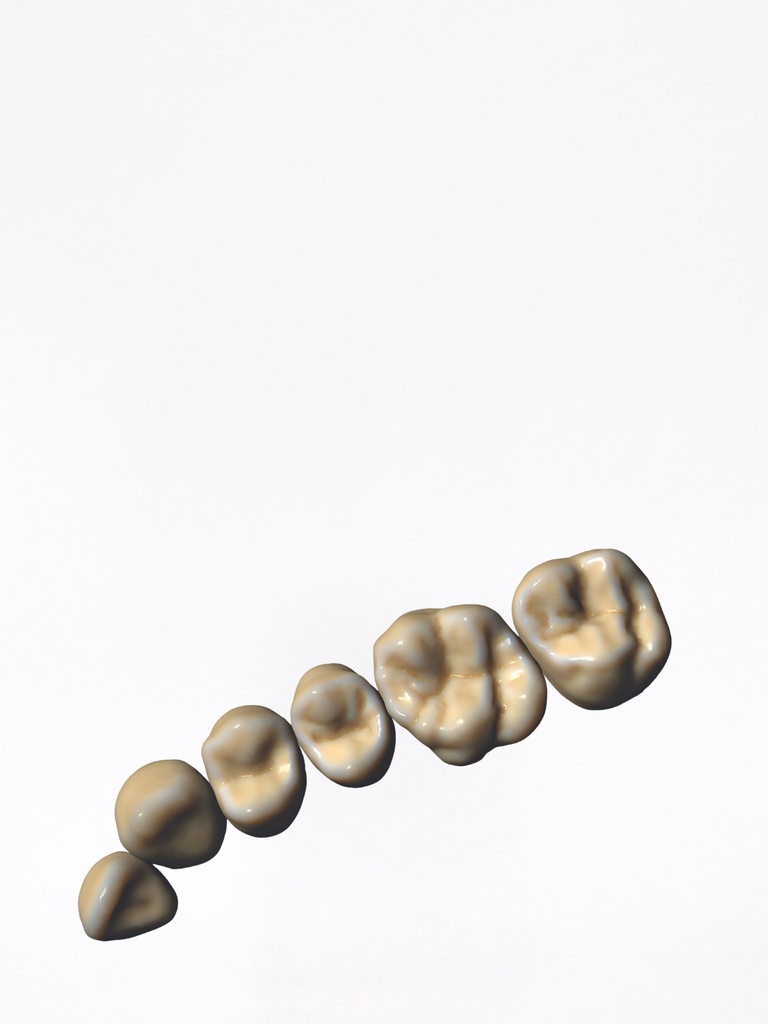 ChairsideCAD - Modulo ZRS Tooth Library