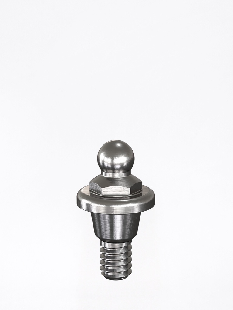 Dalbo® Abutment Straumann®