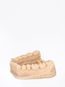 Ultracur3D® DM 4505 N