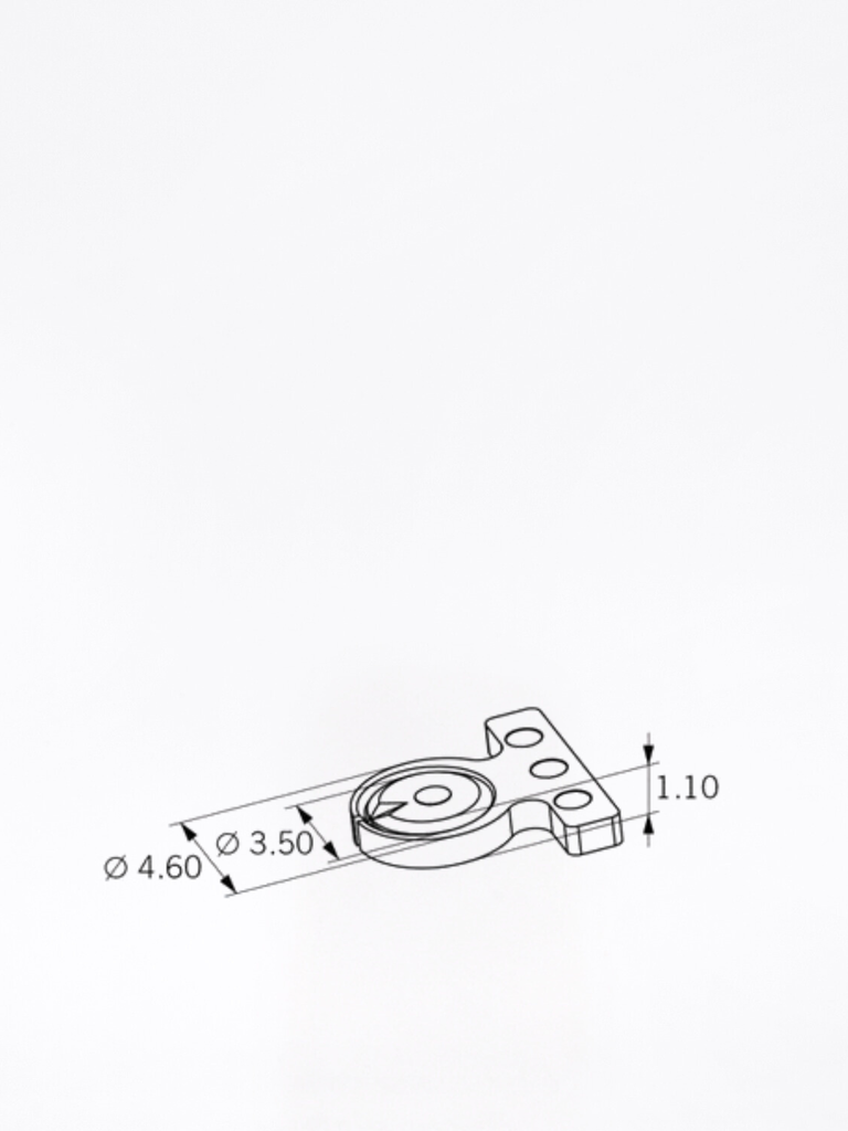 Eccentric Femmina EL anteriore - Misure