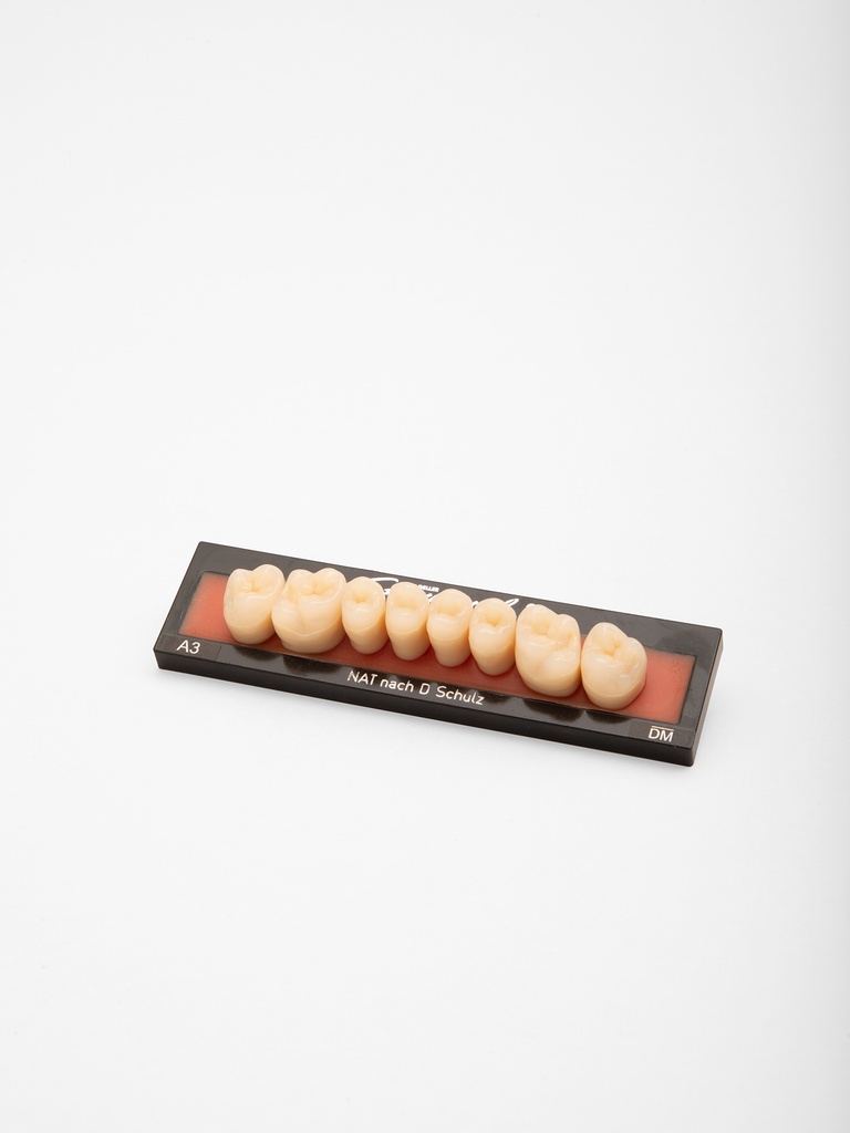 Creapearl 2 Posterior