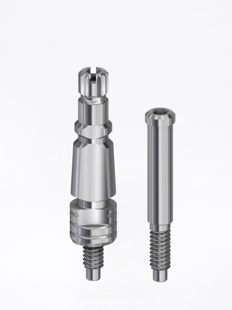 Transfer External Hex USA