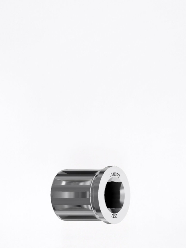 Adattatore punta Cacciavite Straumann® Chiave dinamometrica