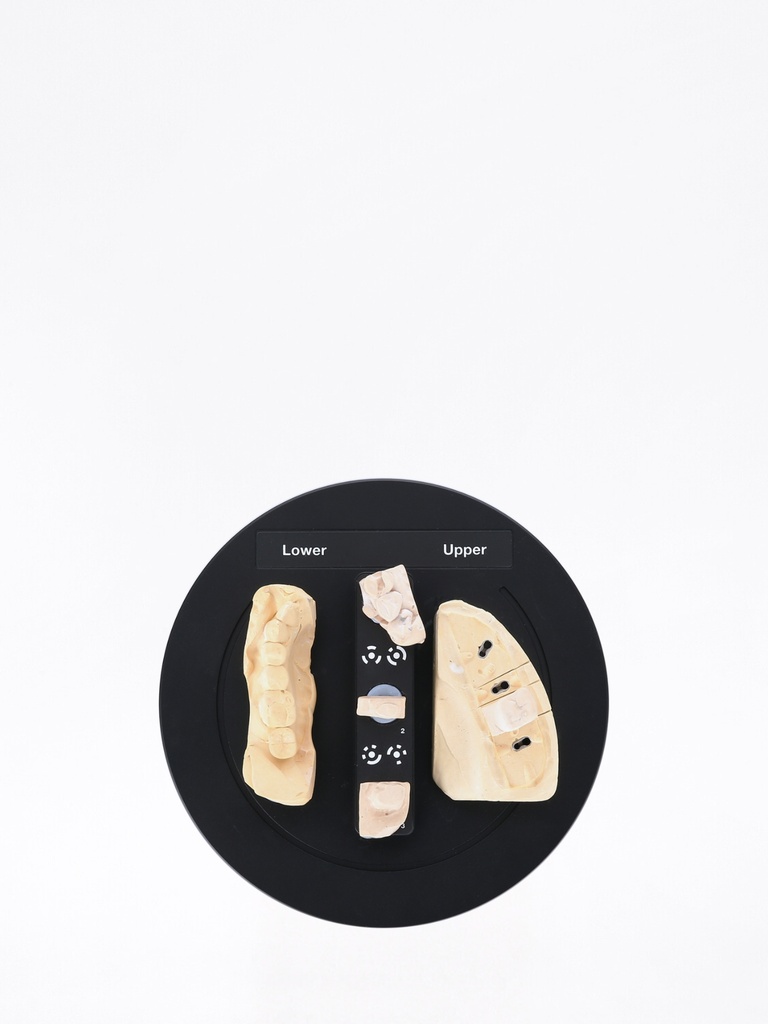 Freedom All-in-one plate