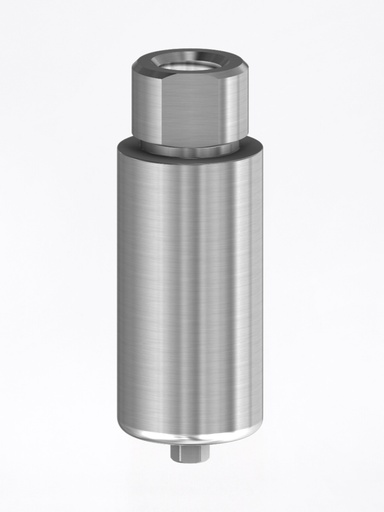 Premilled Internal Hex BH