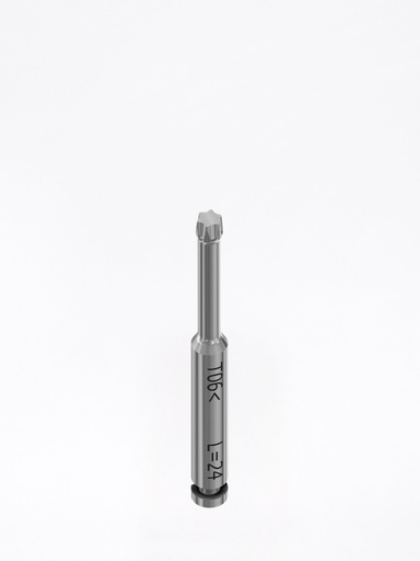 Cacciavite Torx® 06