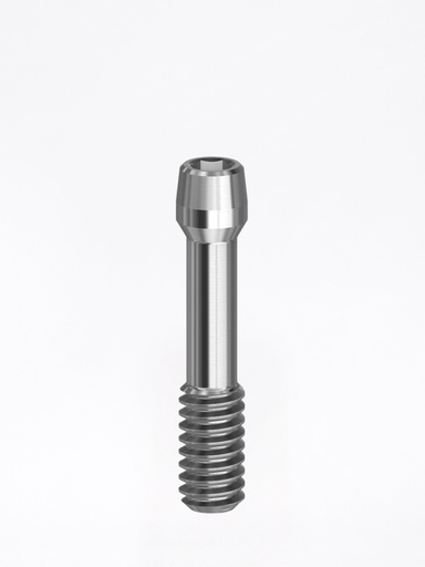 Vite Sostitutiva Internal ANK